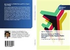 Mujahid Samad Suhaeb - Aerodynamics of Battle-Damaged Finite Aspect Ratio Wings