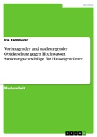 Iris Kammerer - Vorbeugender und nachsorgender Objektschutz gegen Hochwasser. Sanierungsvorschläge für Hauseigentümer