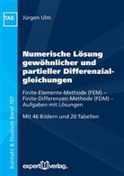 Jürgen Ulm - Numerische Lösung gewöhnlicher und partieller Differenzialgleichungen