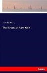 Dion Boucicault - The Streets of New York