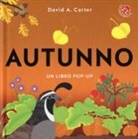 David A. Carter - Autunno. Libro pop-up