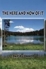 David Connor - The Here and Now of It