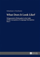Sebastiaan Verschuren, Sebastiaan A. Verschuren - What Does It Look Like?
