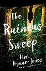 Tim Wynne-Jones - The Ruinous Sweep
