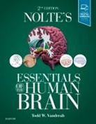 Todd W. Vanderah, Todd Vanderah, Todd W. Vanderah - Nolte's Essentials of the Human Brain