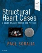 Richard Bae, Emmanouil Brilakis, Emmanouil (Director Brilakis, Brilakis Emmanouil, John R Lesser, John Lesser... - Structural Heart Cases