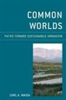 Carl A Maida, Carl A. Maida - Common Worlds