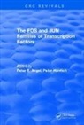 Angel, Peter E. Angel, Peter E. Herrlich Angel, Angel Peter E., Peter Herrlich, Peter E. Angel... - Revival: The Fos and Jun Families of Transcription Factors (1994)