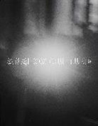 Deborah Bell, Bell Deborah, James Casebere, Casebere James, Robert G. Erdmann, Erdmann Robert G.... - Analog Culture