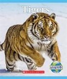 Patricia Janes - Tigers (Nature's Children)