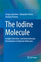Serge Lukashov, Sergey Lukashov, Alexande Petrov, Alexander Petrov, Anato Pravilov, Anatoly Pravilov - The Iodine Molecule