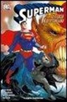 Kurt Busiek, Renato Guedes, Walt Simonson - Superman: il terzo kryptoniano