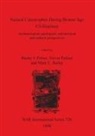 Mark Bailey, Mark E. Bailey, Trevor Palmer, Benny Peiser, Benny J. Peiser - Natural Catastrophes During Bronze Age Civilisations