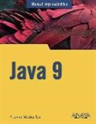 Francisco Javier Moldes Teo - Java 9