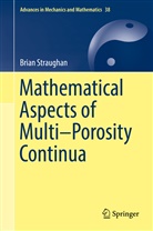 Brian Straughan - Mathematical Aspects of Multi-Porosity Continua