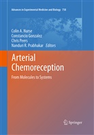 Constanci Gonzalez, Constancio Gonzalez, Colin A. Nurse, Chris Peers, Chris Peers et al, Nanduri Prabhakar - Arterial Chemoreception
