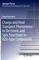 Naoya Kanazawa - Charge and Heat Transport Phenomena in Electronic and Spin Structures in B20-type Compounds