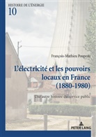 François-Mathieu Poupeau, Comité d'histoire de l'électricité et - L'électricité et les pouvoirs locaux en France (1880-1980)