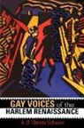 A. B. Christa Schwarz, A.B. Christa Schwarz, Schwarz a B Christa, Darlene Clark Hine, John McCluskey - Gay Voices of the Harlem Renaissance