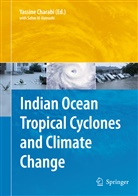 Yassin Charabi, Yassine Charabi - Indian Ocean Tropical Cyclones and Climate Change