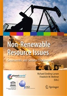 Richar Sinding-Larsen, Richard Sinding-Larsen, Wellmer, Wellmer, Friedrich-W Wellmer, Friedrich-W. Wellmer - Non-Renewable Resource Issues