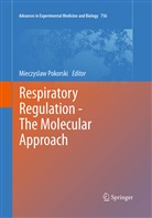 Mieczysla Pokorski, Mieczyslaw Pokorski - Respiratory Regulation - The Molecular Approach