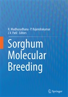 R. Madhusudhana, J. V. Patil, J.V. Patil, Rajendrakumar, P Rajendrakumar, P. Rajendrakumar... - Sorghum Molecular Breeding