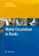 Paola Gattinoni, Laur Scesi, Laura Scesi - Water Circulation in Rocks
