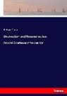 Richard Taylor - Destruction and Reconstruction