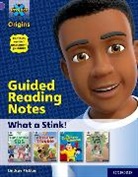 Christine Chen, Lindsay Pickton, Lindsay Chen Pickton - Project X Origins: Purple Book Band, Oxford Level 8: What a Stink: