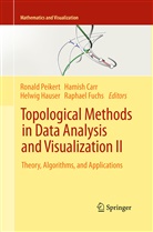 Hamish Carr, Hamish Carr et al, Raphael Fuchs, Helwi Hauser, Helwig Hauser, Ronald Peikert - Topological Methods in Data Analysis and Visualization II