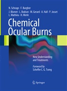 Jöel Blomet, Jöel et Blomet, Lucien Bodson, Françoi Burgher, François Burgher, Max Gerard... - Chemical Ocular Burns