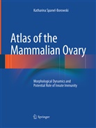 Katharina Spanel-Borowski - Atlas of the Mammalian Ovary