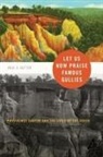 James (EDT)/ Sutter Giesen, Paul Sutter, James Giesen - Let Us Now Praise Famous Gullies