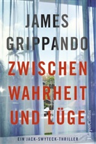 James Grippando - Zwischen Wahrheit und Lüge