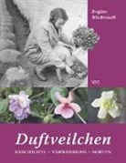 Brigitte Wachsmuth - Duftveilchen