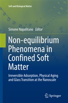 Simon Napolitano, Simone Napolitano - Non-equilibrium Phenomena in Confined Soft Matter