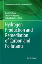 Eric Lichtfouse, Didier Robert, Ja Schwarzbauer, Jan Schwarzbauer - Hydrogen Production and Remediation of Carbon and Pollutants