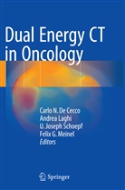 Carlo N. De Cecco, U Joseph Schoepf et al, Andre Laghi, Andrea Laghi, Felix G. Meinel, U. Joseph Schoepf - Dual Energy CT in Oncology