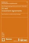 Marc Bungenberg, August Reinisch, Christian Tietje - EU and Investment Agreements