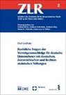 Olaf Gierhake - Rechtliche Fragen der Vermögensnachfolge für deutsche Unternehmer mit deutschen, österreichischen und liechtensteinischen Stiftungen
