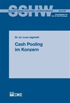 Luca Jagmetti - Cash Pooling im Konzern