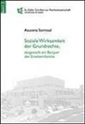 Azucena Sorrosal - Soziale Wirksamkeit der Grundrechte, dargestellt am Beispiel der Einelternfamilie