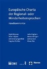 Sigrid Boysen, Jutta Engbers, Peter Hilpold, Marco Körfgen, Christine Langenfeld, Detlev B Rein... - Europäische Charta der Regional- oder Minderheitensprachen