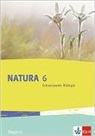 Juli Bauer, Julia Bauer, Ral Burger, Ralf Burger, Thorsten u a Müller - Natura, Ausgabe für Bayern ab 2017: Natura Schwerpunkt Biologie 6. Ausgabe Bayern