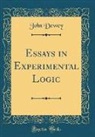 John Dewey - Essays in Experimental Logic (Classic Reprint)