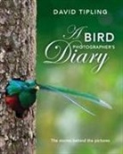 David Tipling - A Bird Photographer's Diary