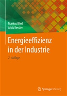 Marku Blesl, Markus Blesl, Alois Kessler - Energieeffizienz in der Industrie
