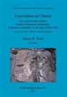 David Mason, John McPeake, Simon Ward - Excavations at Chester