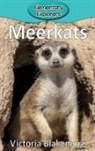 Victoria Blakemore - Meerkats